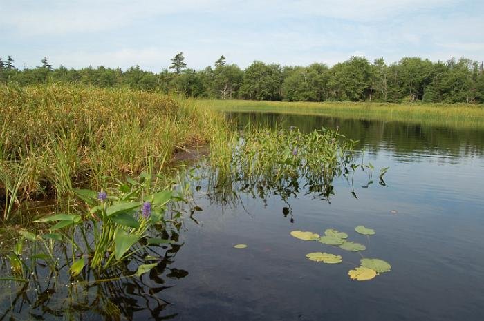 Kanutrip Naturreservat Sporting Lake_100